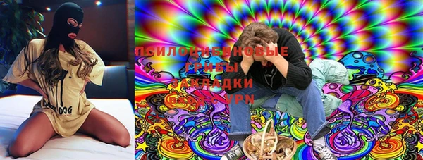 молекула духа Белоозёрский