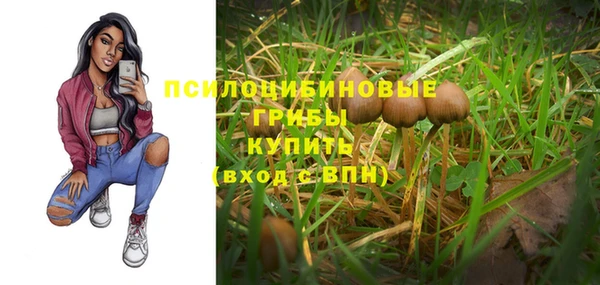 прущий лед Волосово