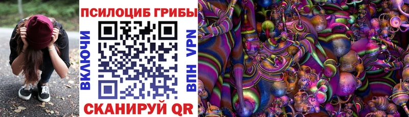 Галлюциногенные грибы мухоморы Мичуринск