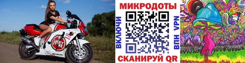 магазин продажи наркотиков  Мичуринск  Галлюциногенные грибы GOLDEN TEACHER 